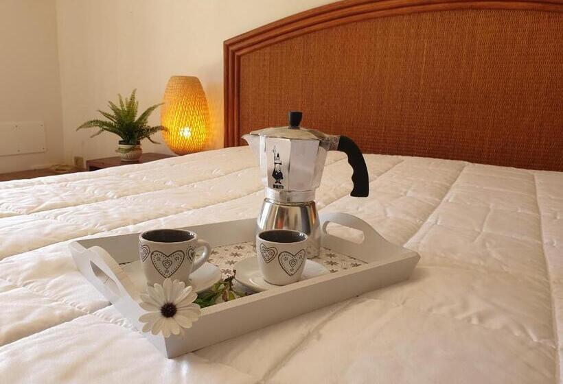 스탠다드 스튜디오 정원 전망, Trenasse