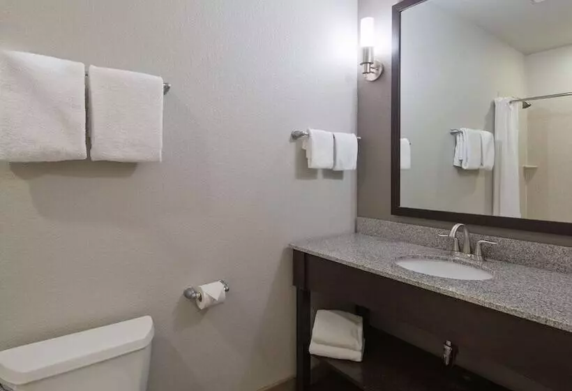 سوییت, Best Western Plus Austin Airport Inn & Suites