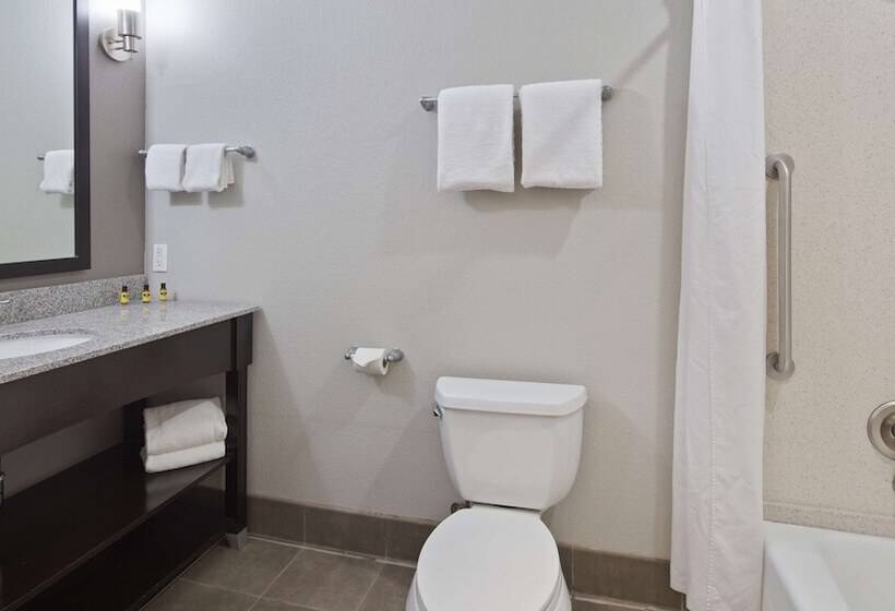 סוויטה מותאמת לאדם עם מוגבלויות, Best Western Plus Austin Airport Inn & Suites