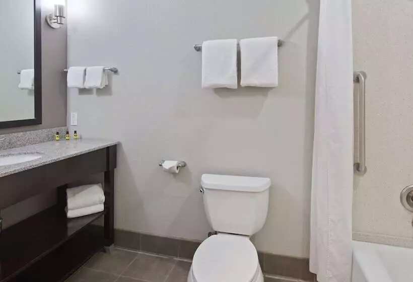 سوئیت برای معلولان, Best Western Plus Austin Airport Inn & Suites