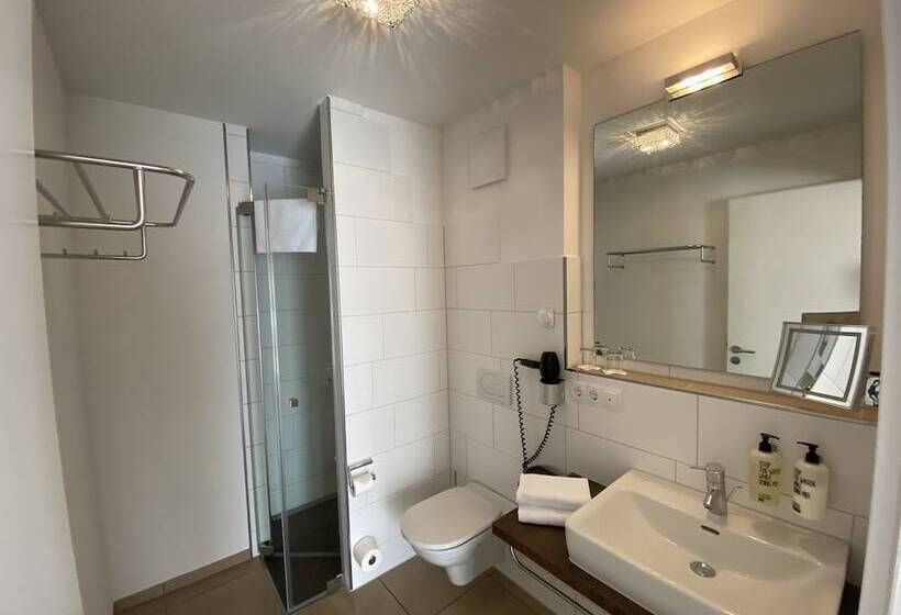 Апартаменты Deluxe 1 Спальня, Boardinghouse Home   Adults Only