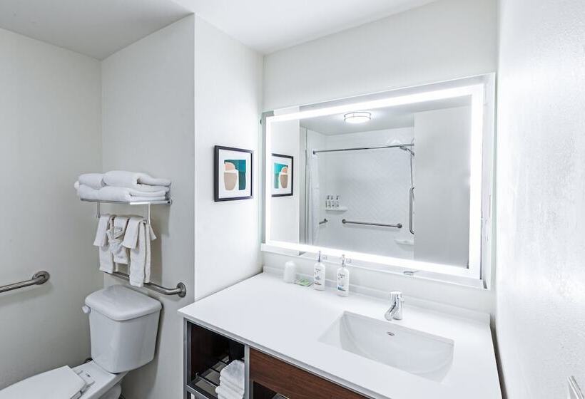 חדר סטנדרט, Holiday Inn Hotel & Suites Tulsa South, An Ihg