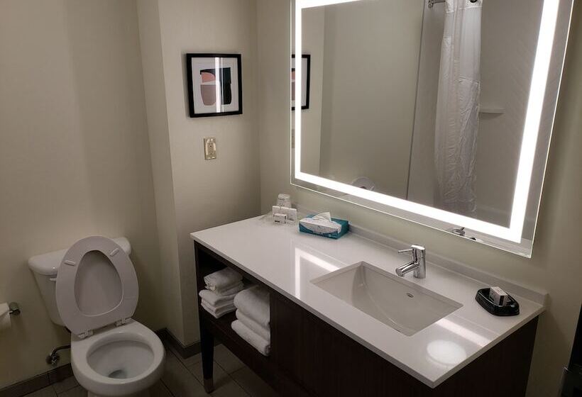 חדר סטנדרט, Holiday Inn Hotel & Suites Tulsa South, An Ihg