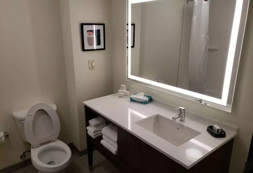 スタンダードルーム, Holiday Inn Hotel & Suites Tulsa South, An Ihg