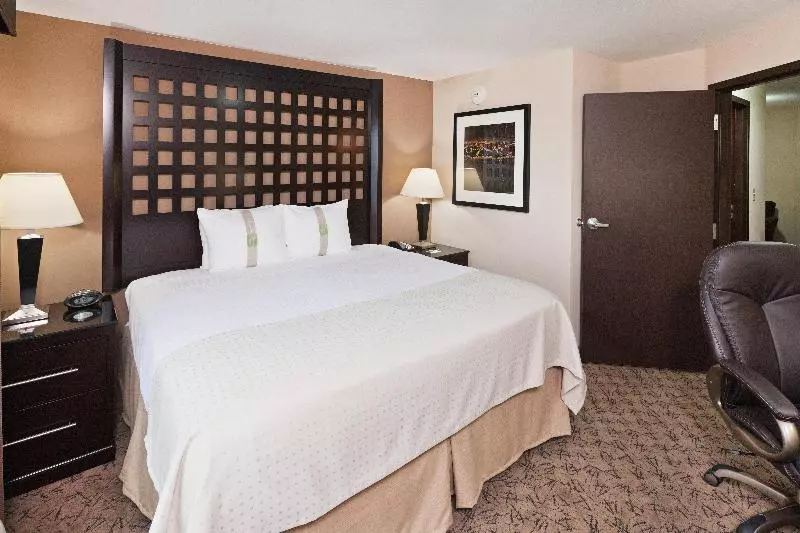 キングサイズベッドのスイートルーム, Holiday Inn Hotel & Suites Tulsa South, An Ihg