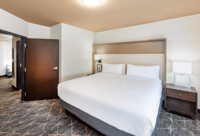 חדר סטנדרט, Holiday Inn Hotel & Suites Tulsa South, An Ihg