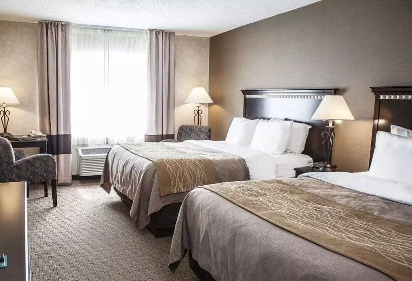 ２ダブルベッドのスタンダードルーム, Quality Inn Seekonkprovidence