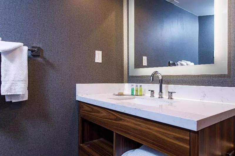 キングサイズベッドのスイートルーム, Quality Inn & Suites Atlanta Airport South