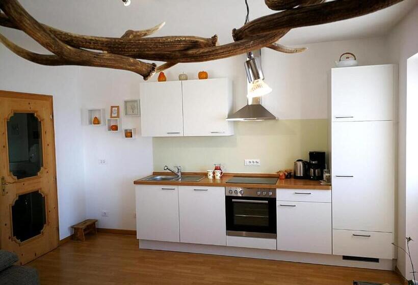 带1个卧室的高级公寓, Ferienwohnungen Wiesbauer