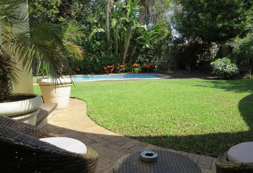 إستديو قياسى مطل على حمام السباحة, Kasa Nama