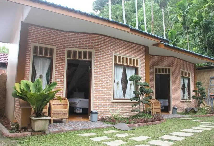 Economy-huone, Thomas  Retreat Bukit Lawang