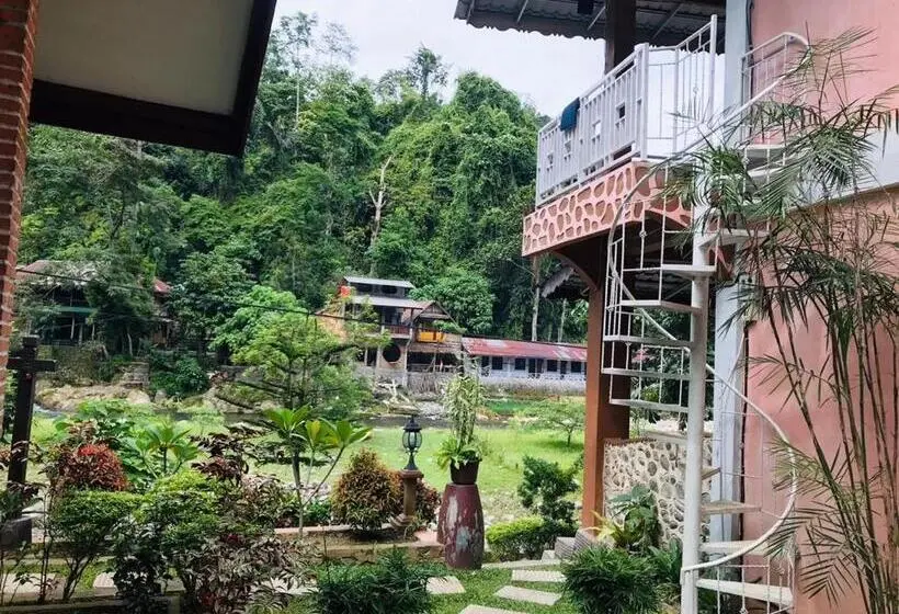 Superior-huone, Thomas  Retreat Bukit Lawang
