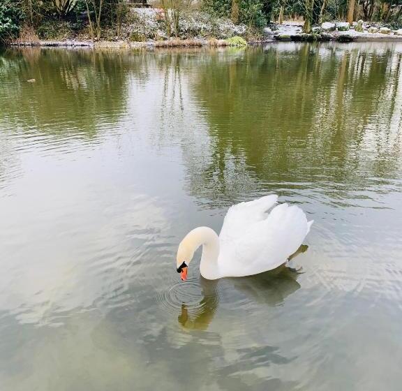 اتاق استاندارد, Slayleigh B&b, Matlock