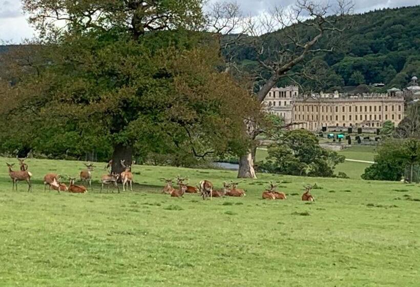 اتاق سوپریور, Slayleigh B&b, Matlock