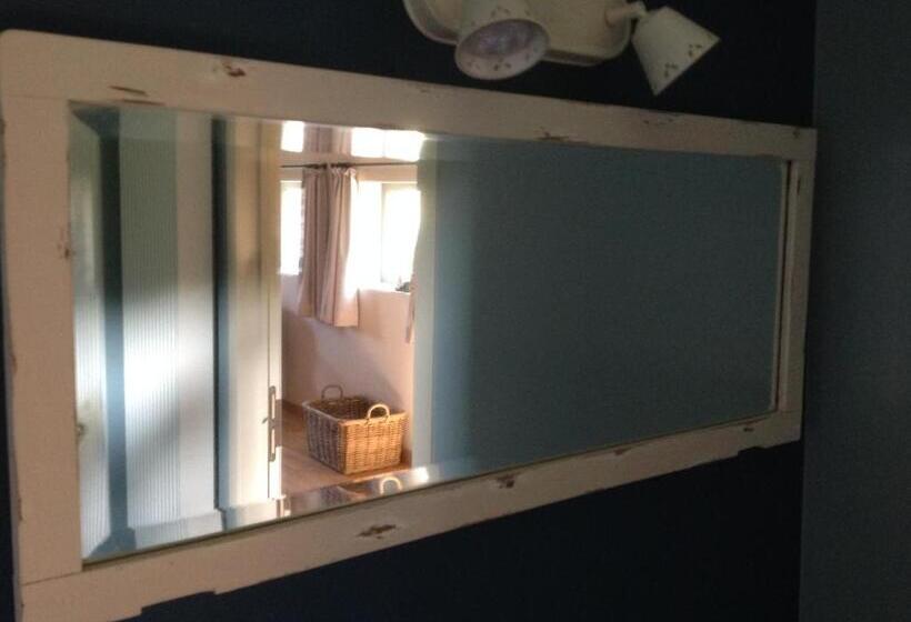 スタンダードルーム, Kokkelikoo