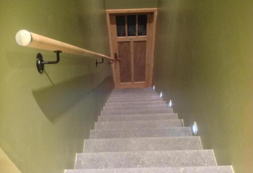 スタンダードルーム, Kokkelikoo