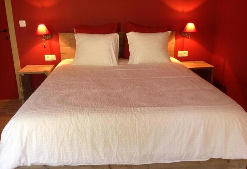 标准间, Kokkelikoo