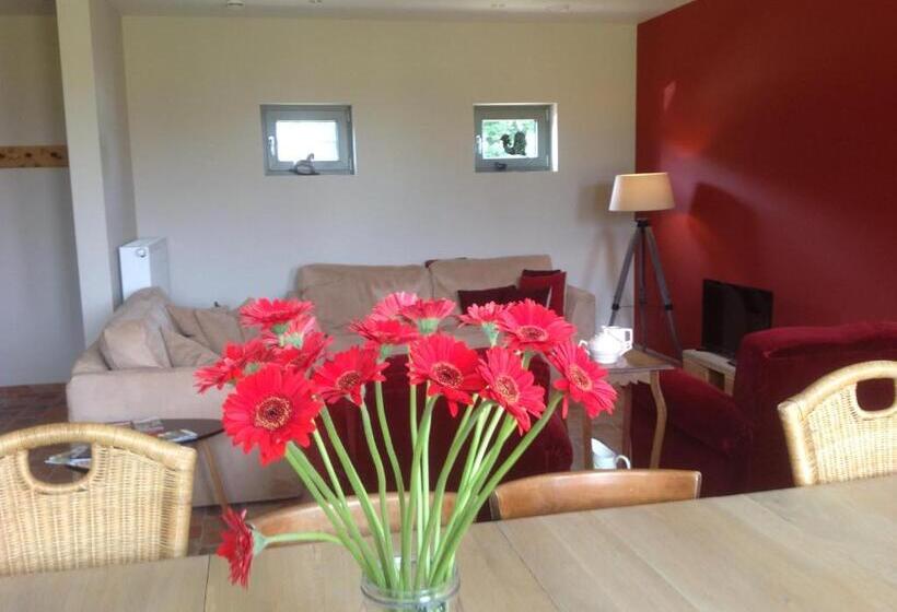 スタンダード4人部屋, Kokkelikoo