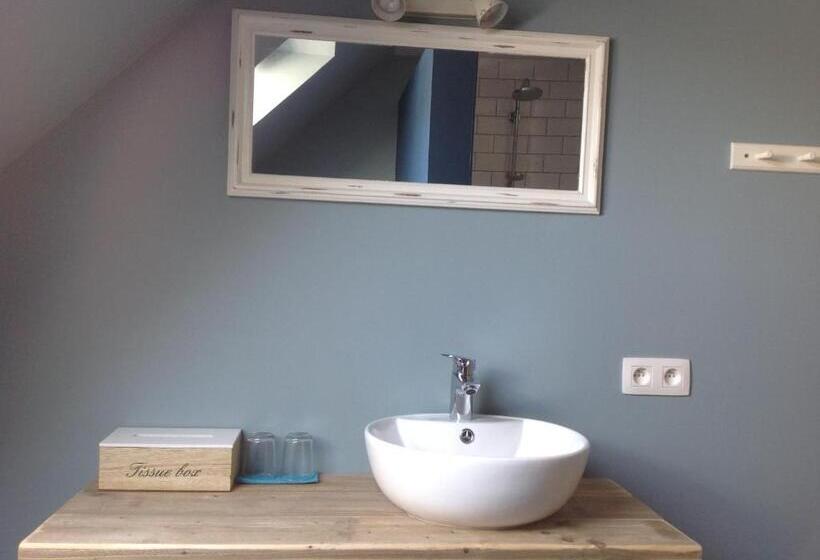 スタンダードルーム, Kokkelikoo