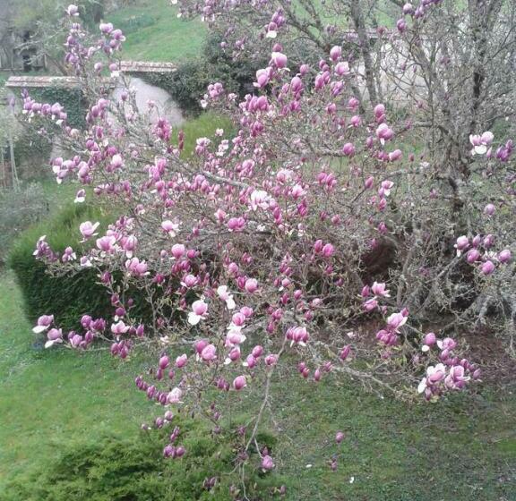 חדר סטנדרט, La Belle Maison