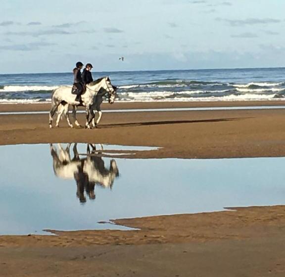 带花园景观的标准工作室, Studio Des Perriots