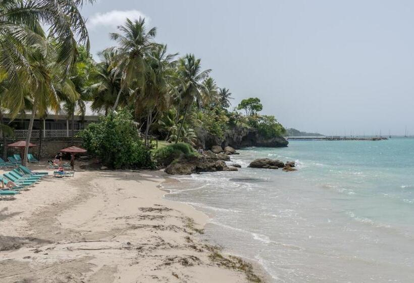 استودیوی استاندارد با چشمانداز دریا, Résidence De La Vielle Tour Studio Particulier Vue Mer