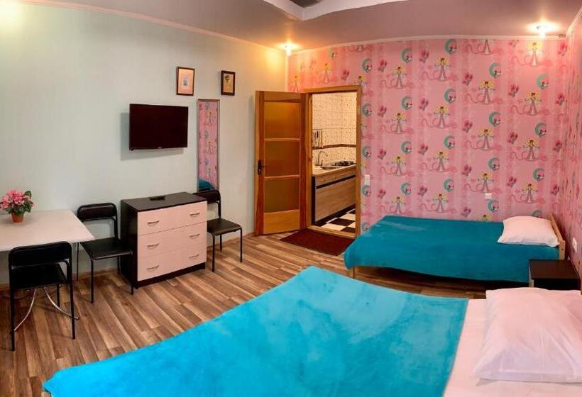 استودیوی استاندارد, Airovita Kambariai Nakvynei