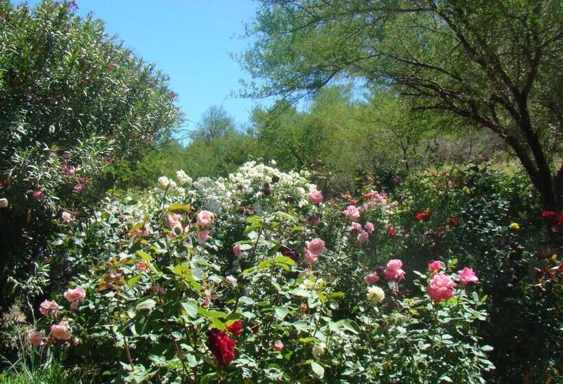 בית, חדר שינה 1, Waterval Farmstay