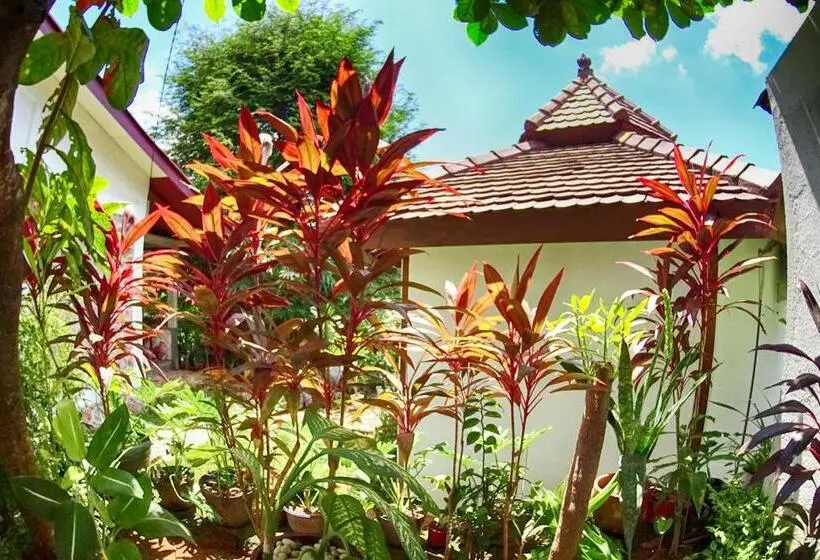 Bungalow Deluxe, Ayu Hotel Karimunjawa
