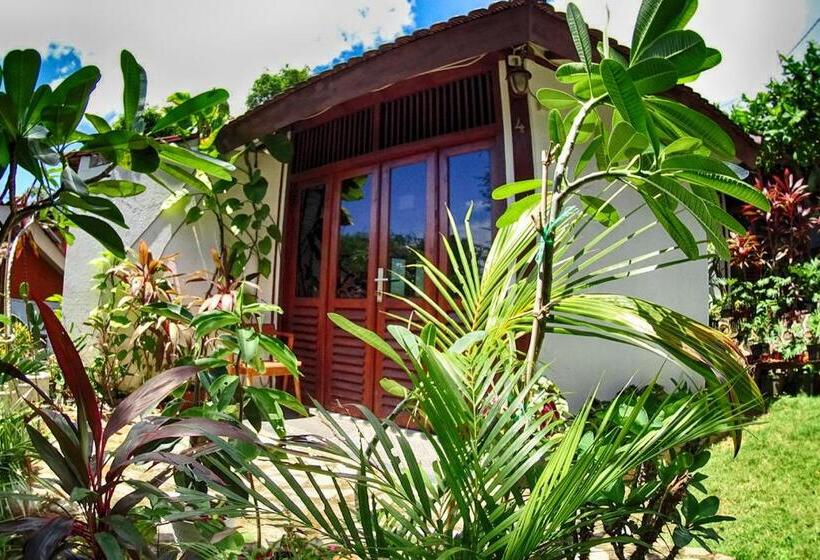 بنجلو ديلوكس, Ayu Hotel Karimunjawa