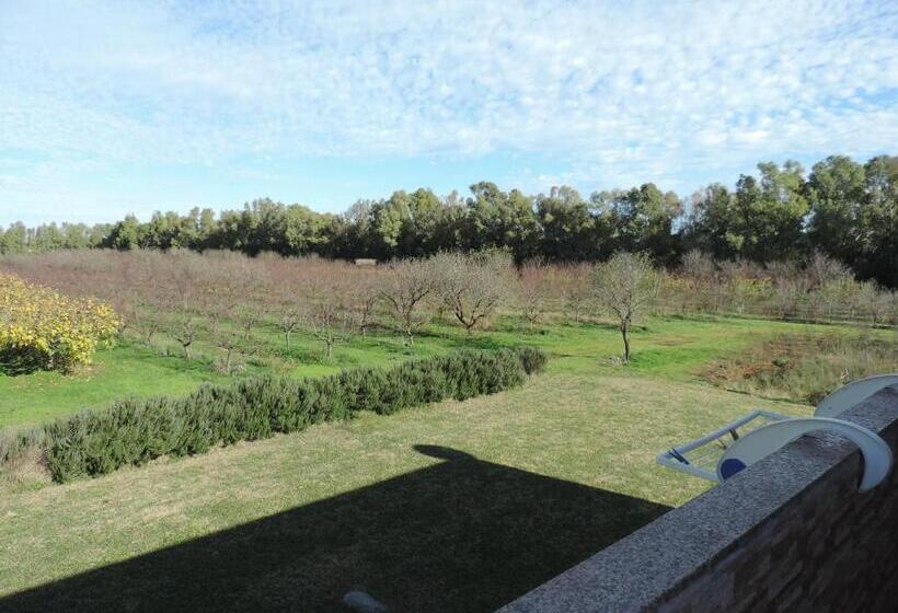 شقة ديلوكس غرفة واحدة, Agriturismo I Doni Del Mandorlo