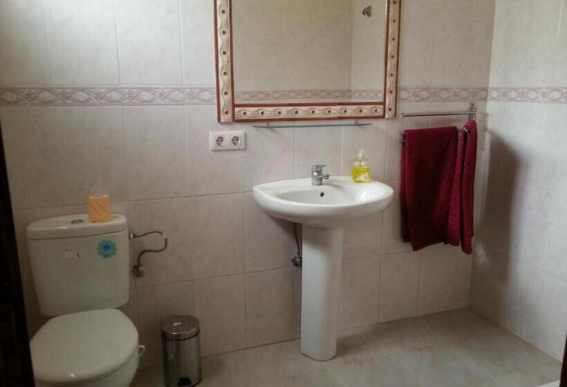 Номер Стандарт, Canarias Sahara