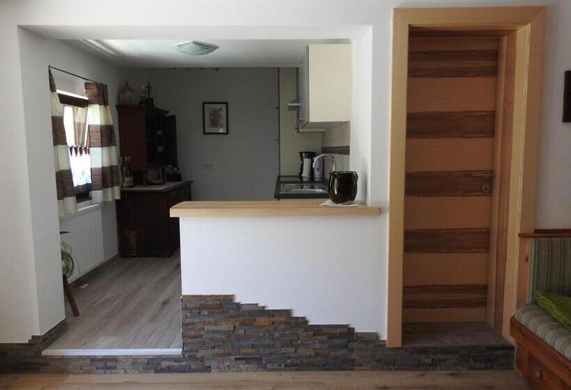 آپارتمان 1 خوابه با تراس, Pongitzerhof