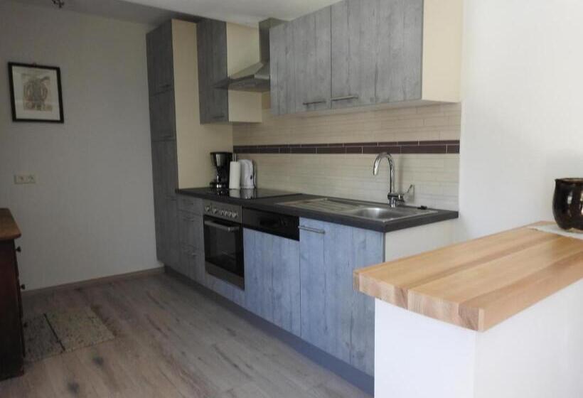 آپارتمان 1 خوابه با تراس, Pongitzerhof