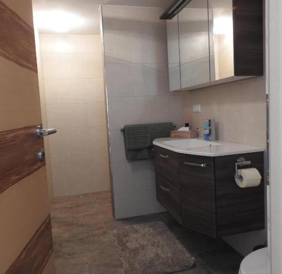 آپارتمان 1 خوابه با تراس, Pongitzerhof