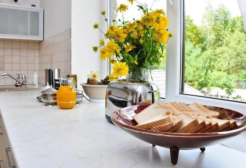 اتاق استاندارد با سرویس بهداشتی مشترک, Irena Family House