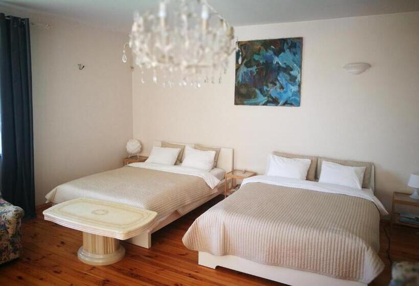 استودیوی استاندارد, Irena Family House