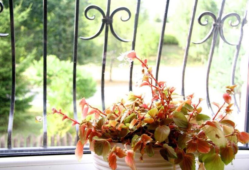 اتاق خانوادگی, Irena Family House