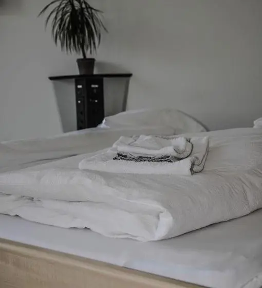 バルコニー付きシングルスタンダードルーム, B&b Im Herzen Von Biel
