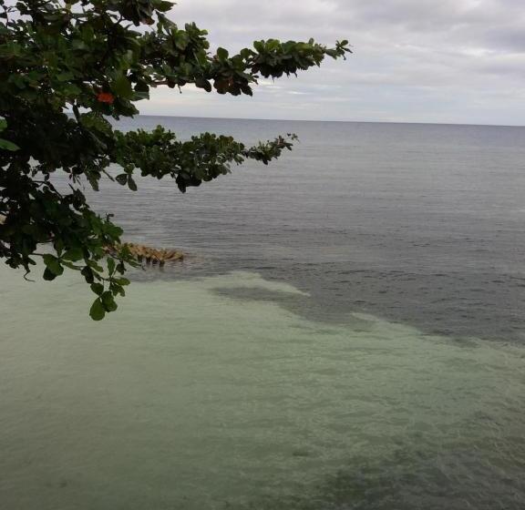 اتاق لوکس با چشمانداز دریا, Sascha S Resort Oslob