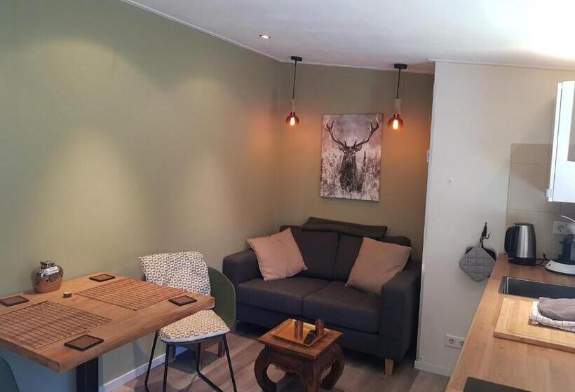 منزل غرفة نوم واحدة, Sleep Well Ness Domburg