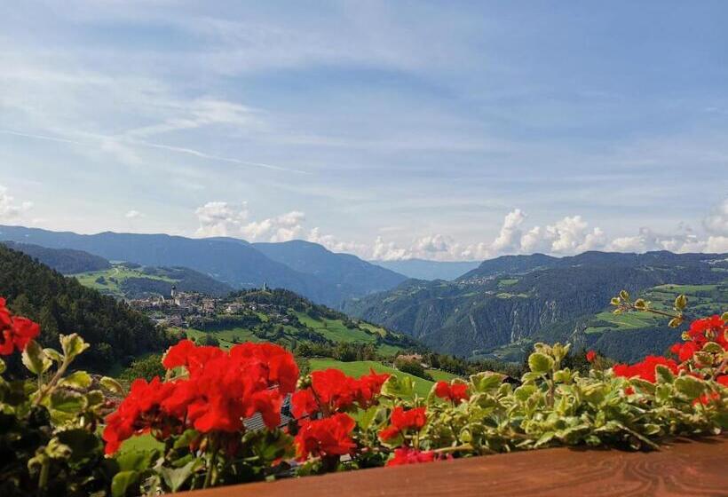 １ベッドルームアパートメント, Gfliererhof