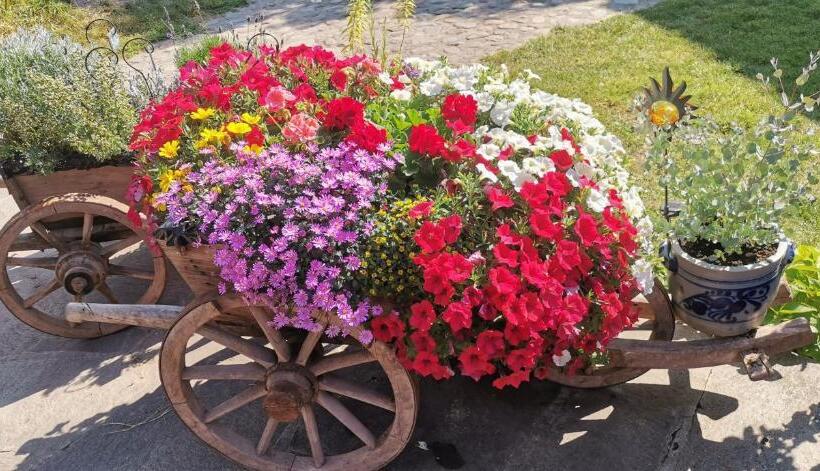 バルコニー付きスタンダードステューディオ, Gfliererhof