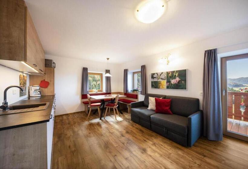 ２ベッドルームアパートメント, Gfliererhof