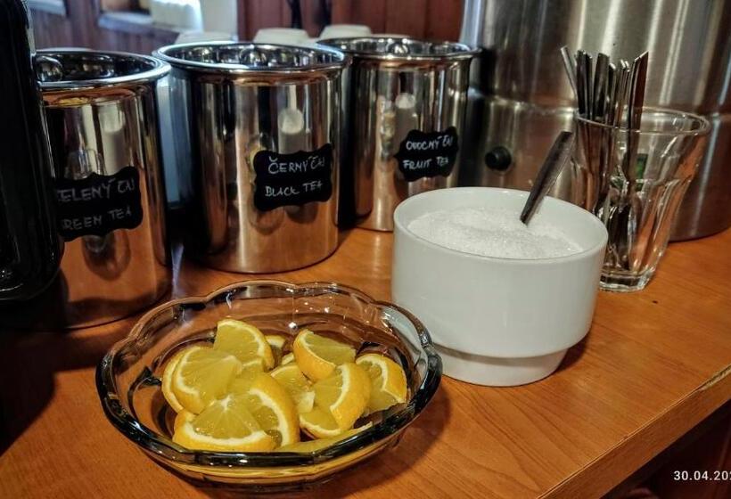 غرفة عائلية, Penzion U Rybníka