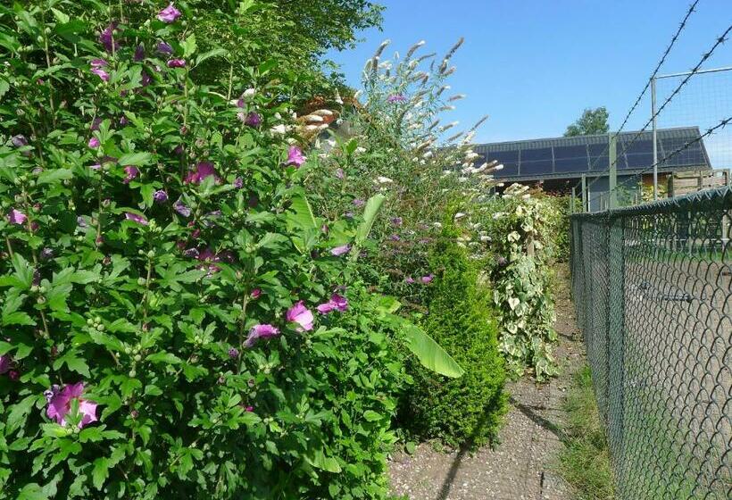 آپارتمان 2 خوابه, B&b De Kleine Wijngaard