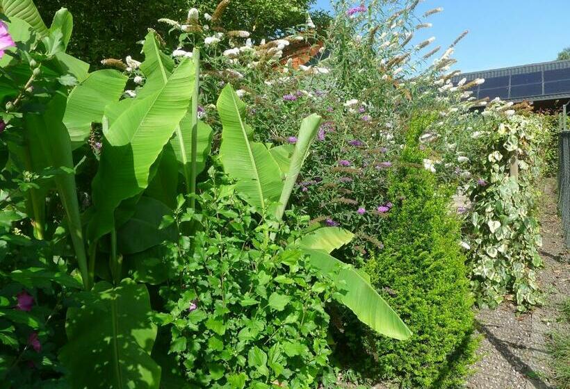 اتاق استاندارد, B&b De Kleine Wijngaard