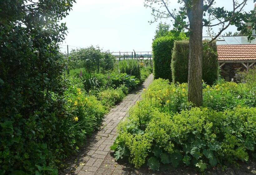 آپارتمان 2 خوابه, B&b De Kleine Wijngaard