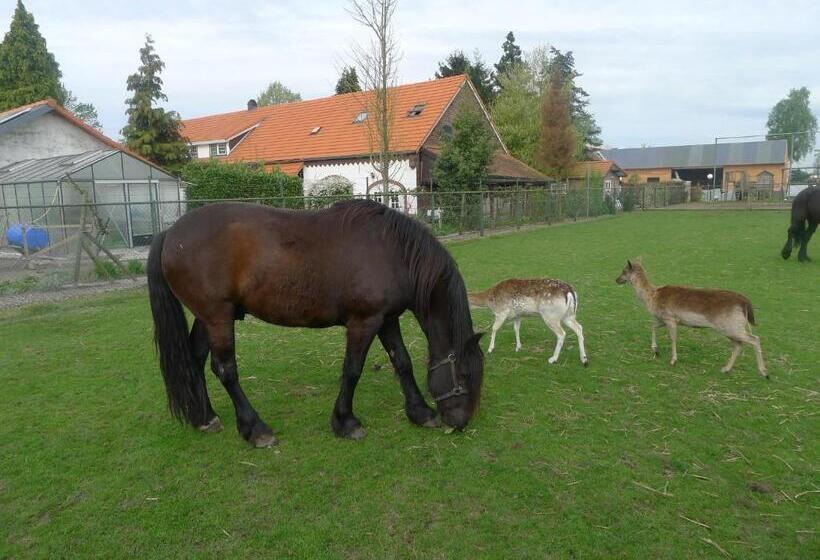 آپارتمان 2 خوابه, B&b De Kleine Wijngaard