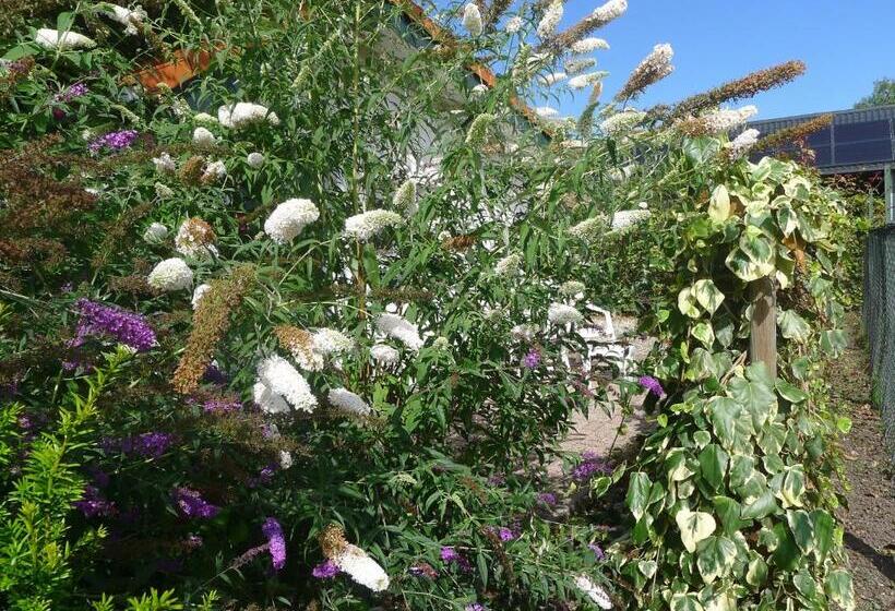 اتاق استاندارد, B&b De Kleine Wijngaard